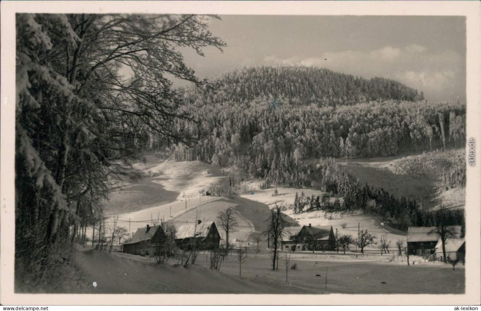 Waltersdorf-Großschönau (Sachsen) Blick Auf Den Ort Mit Lausche/Luž 1960 - Grossschoenau (Sachsen)