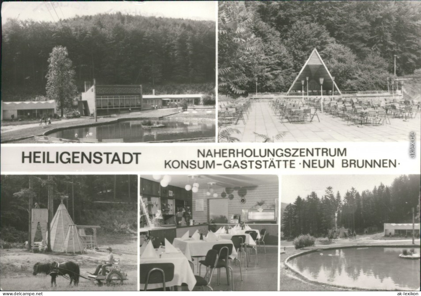 Heilbad Heiligenstadt Naherholungszentrum -  Spielplatz, Schwanenteich 1984 - Heiligenstadt