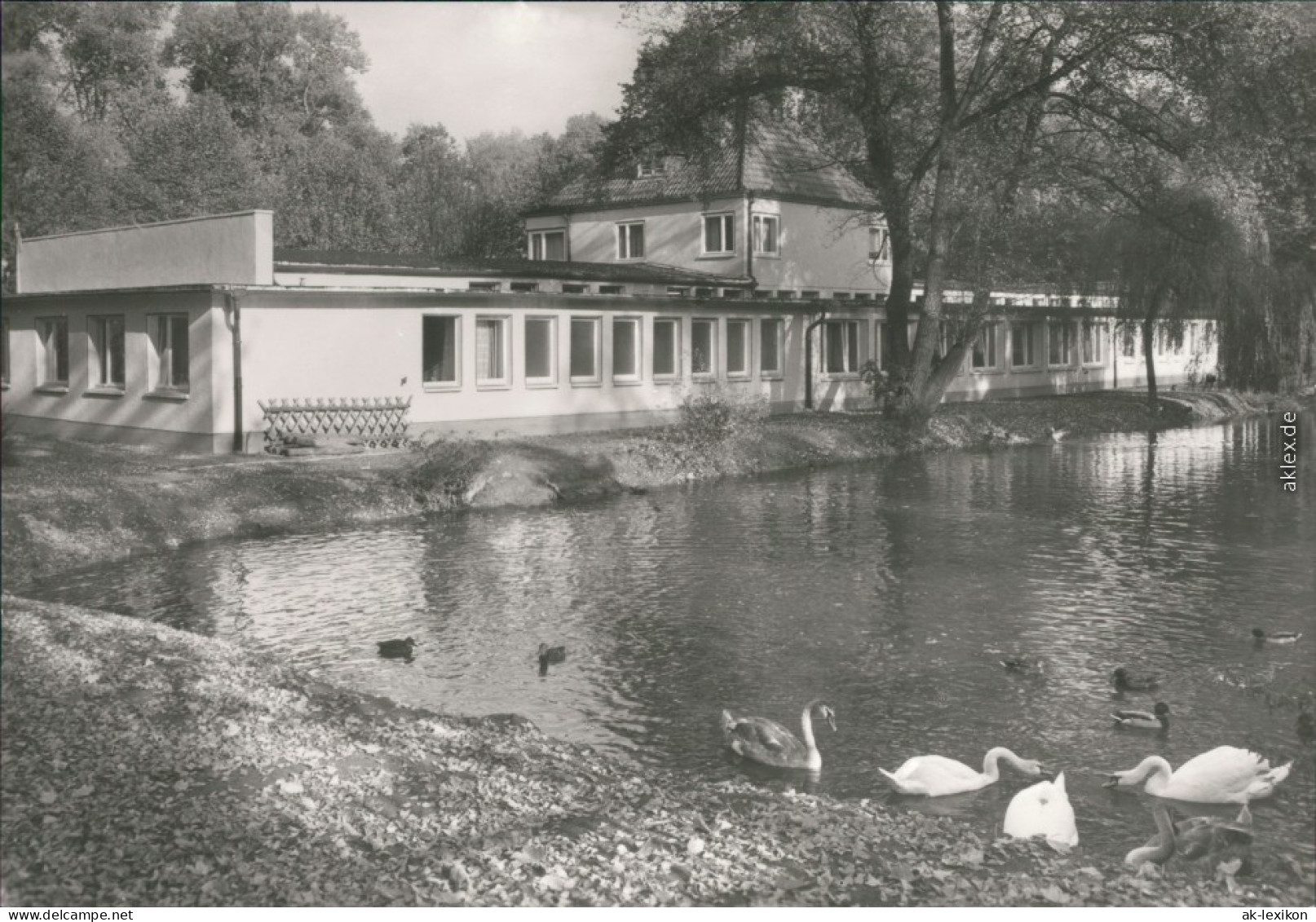 Ansichtskarte Heilbad Heiligenstadt Kneippbad 1984 - Heiligenstadt