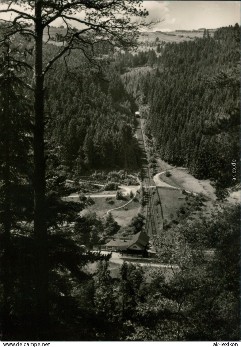 Lichtenhain/Bergbahn Oberweißbacher Bergbahn 1971 - Lichtenhain