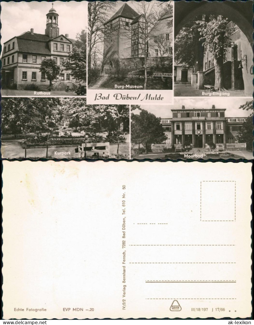 Ansichtskarte Bad Düben Mehrbild: Rathaus, Moorbad 1966  - Bad Dueben