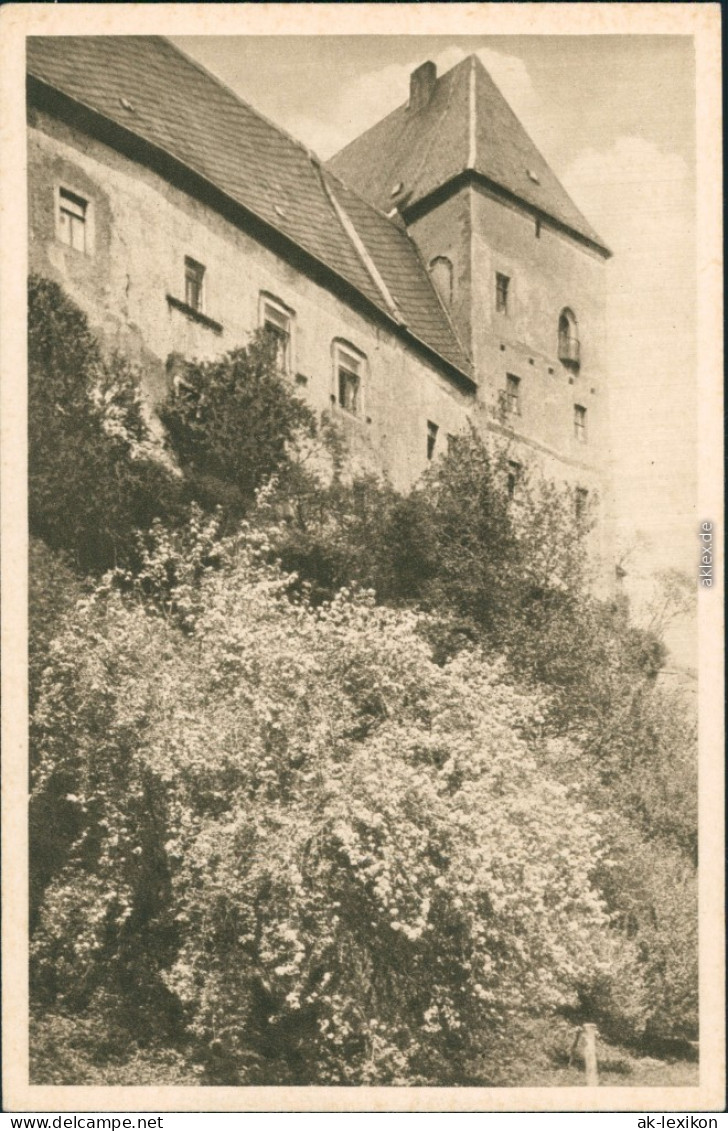 Ansichtskarte Rochlitz Schloss 1930 - Rochlitz