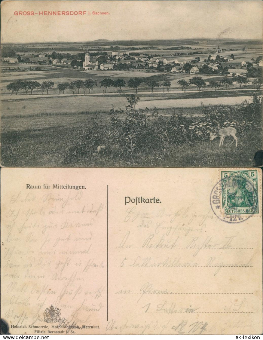 Großhennersdorf-Herrnhut Panorama-Ansicht Mit Dem Ort Und Reh-Kitz 1912 - Herrnhut