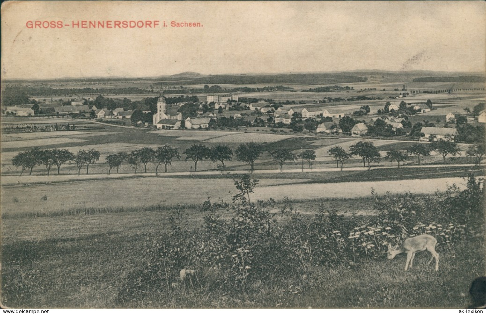 Großhennersdorf-Herrnhut Panorama-Ansicht Mit Dem Ort Und Reh-Kitz 1912 - Herrnhut