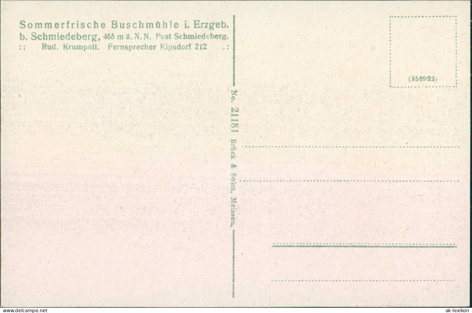 Schmiedeberg (Erzgebirge)-Dippoldiswalde Buschmühle - Holzstapel 1908 - Schmiedeberg (Erzgeb.)