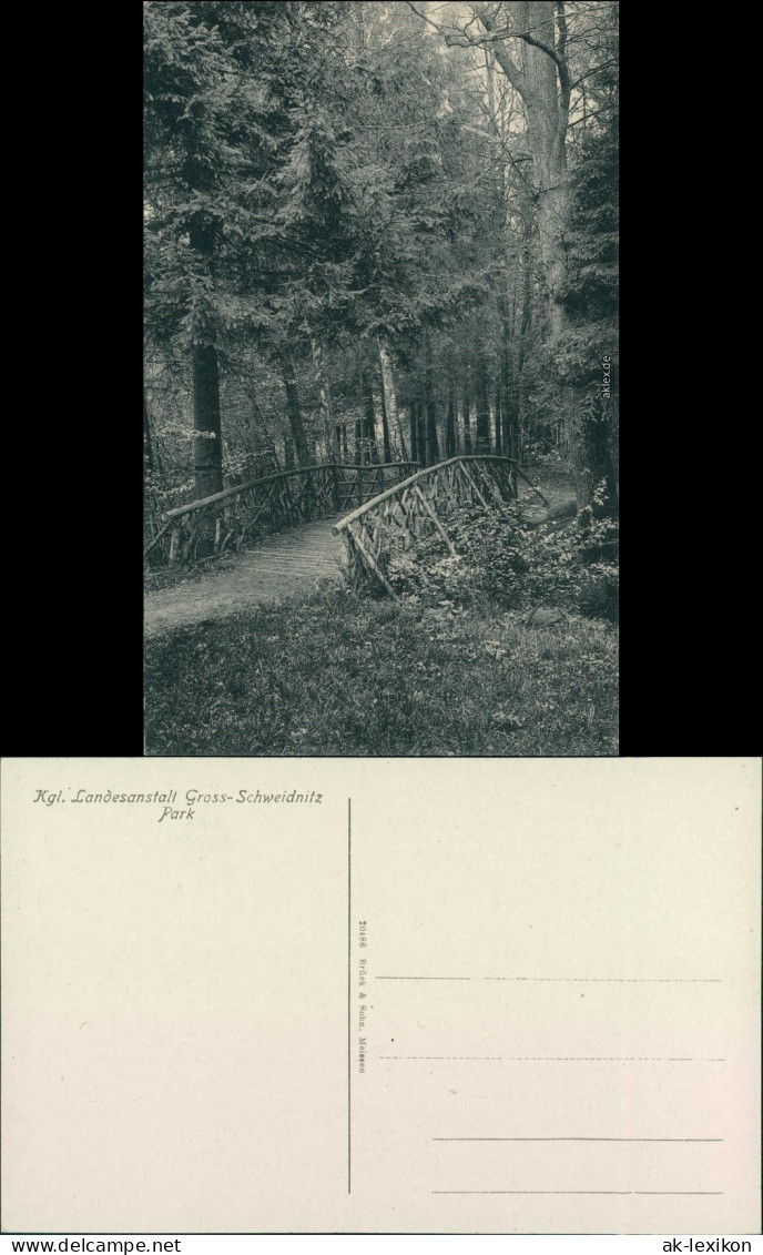 Großschweidnitz (OL) Swóńca Kgl. Landesanstalt - Park 1915  - Grossschweidnitz