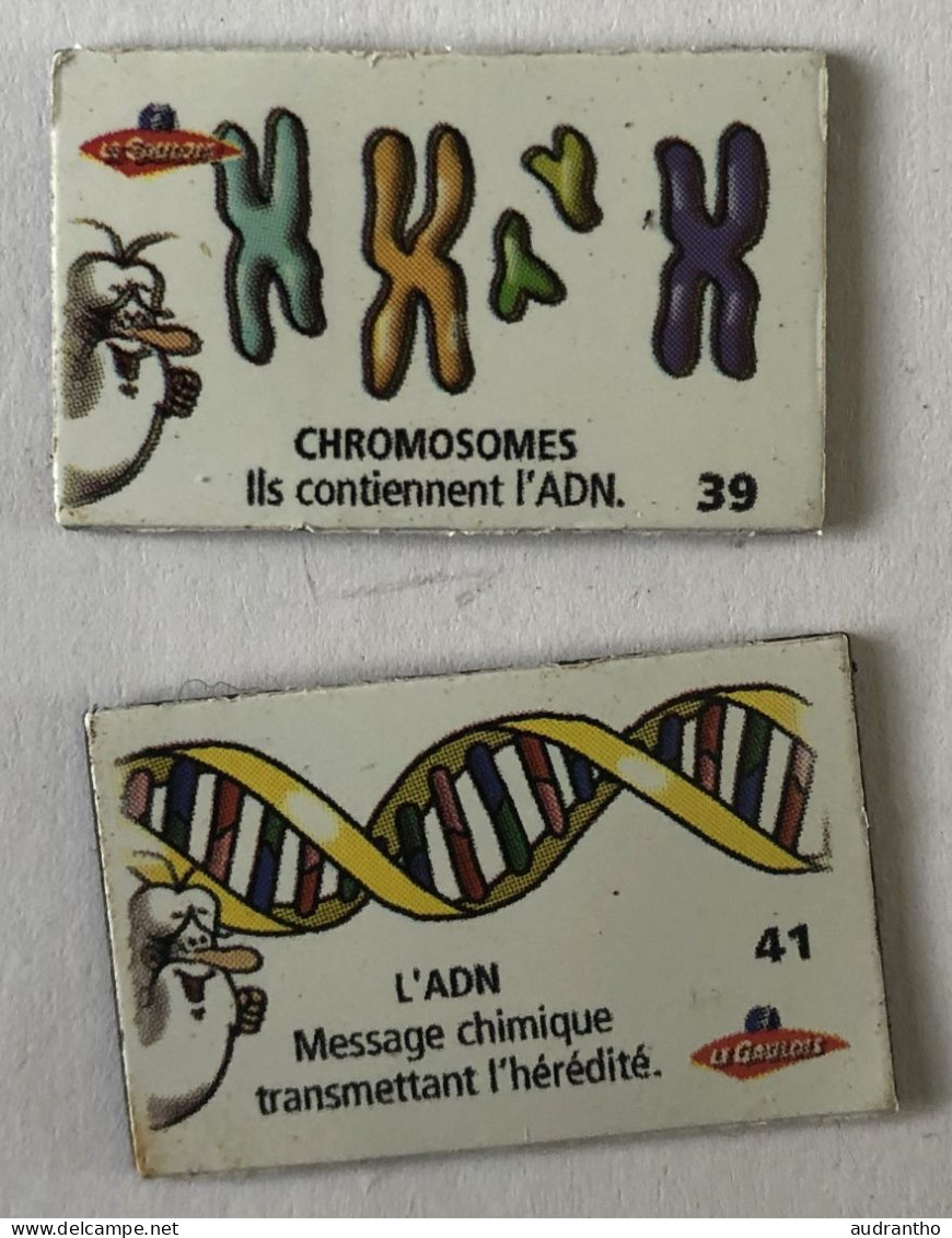 2 Magnets Biologie - ADN Et Chromosomes - Le Gaulois - Il était Une Fois La Vie - Altri & Non Classificati