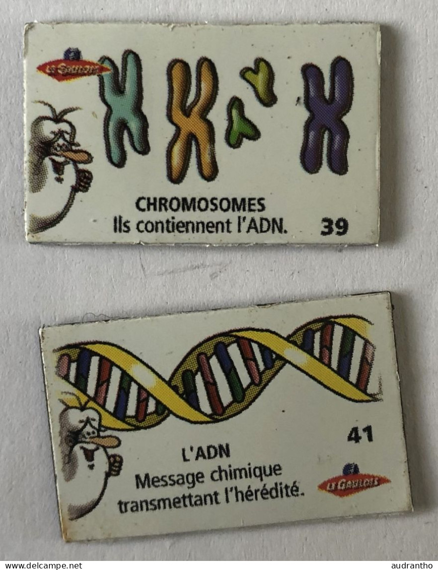 2 Magnets Biologie - ADN Et Chromosomes - Le Gaulois - Il était Une Fois La Vie - Other & Unclassified