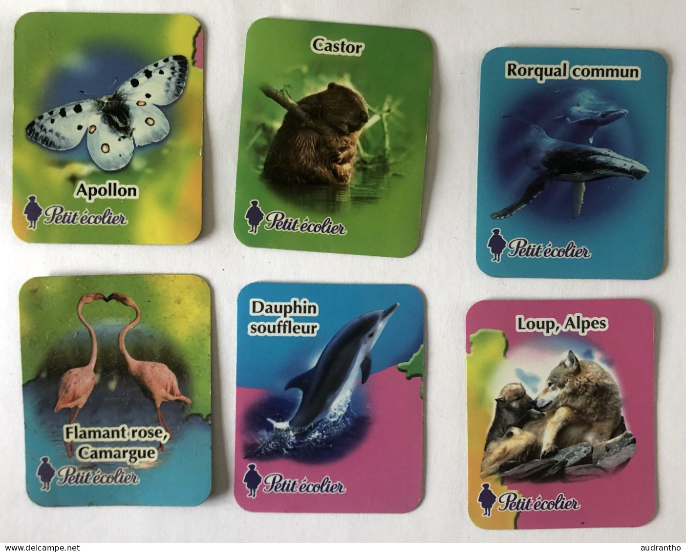 6 Magnets Animaux - Petit écolier - Castor - Apollon - Loup - Flamant Rose - Rorqual - Dauphin - Animaux & Faune