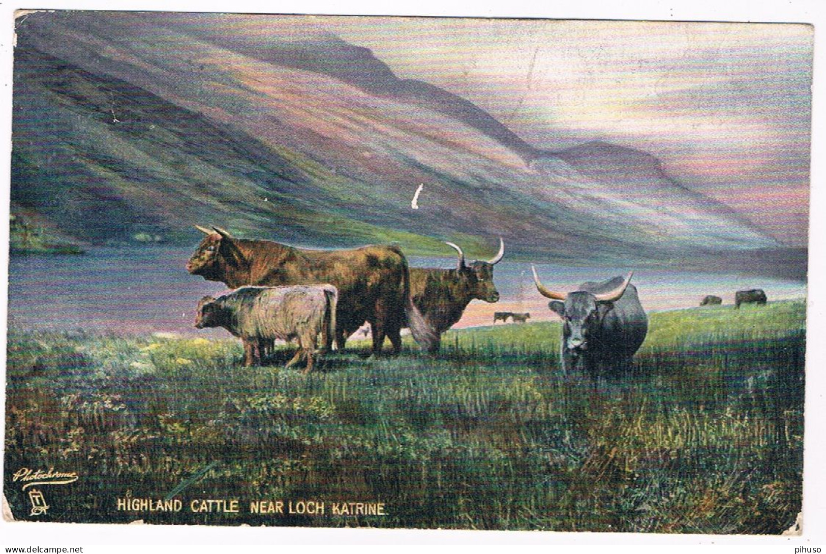 UK-4013  LOCH KATRINE : Highland Cattle - Stirlingshire