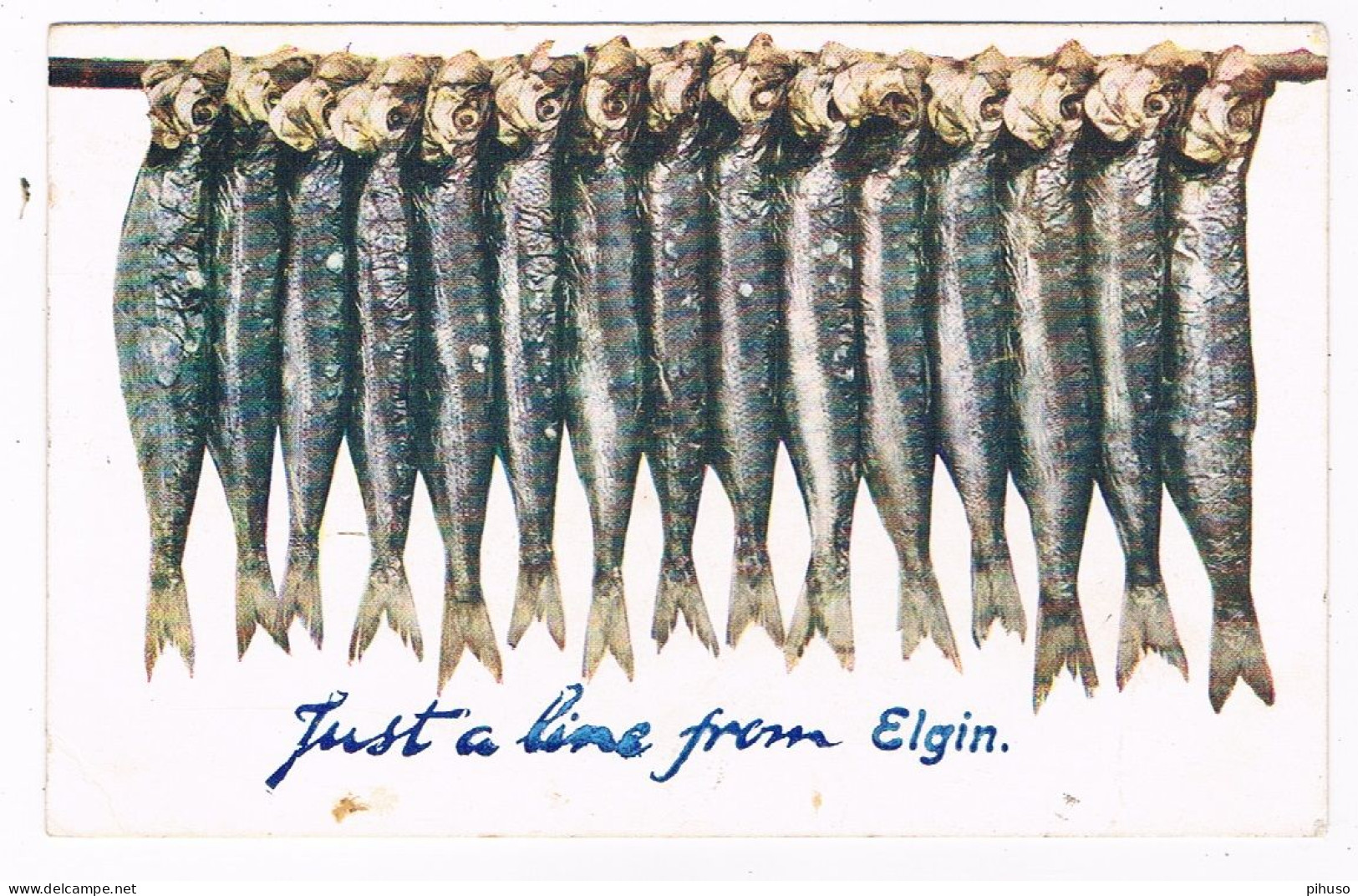 UK-4016  ELGIN : Just A Line From - Moray