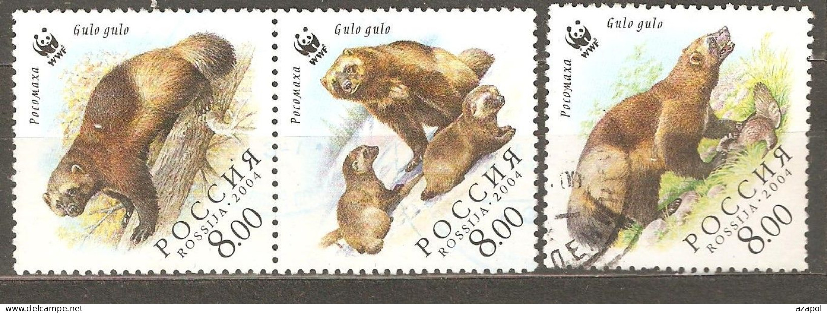 Russia: 3 Used Stamps Of A Set, Wild Animals - Wolverine, 2004, Mi#1198-9 - Usati