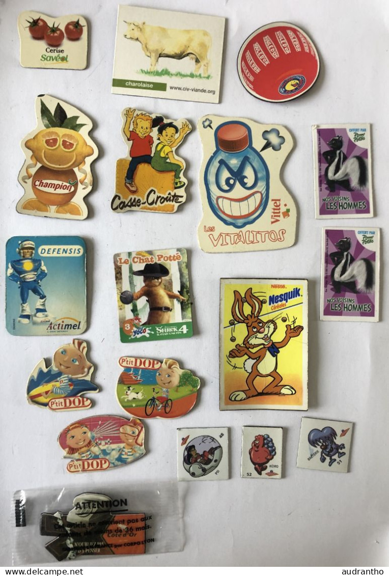 Lot De 18 Magnets Publicitaire Chat Potté Gaulois Vittel Nesquik Actiel P'tit Dop Pom'Potes - Publicidad