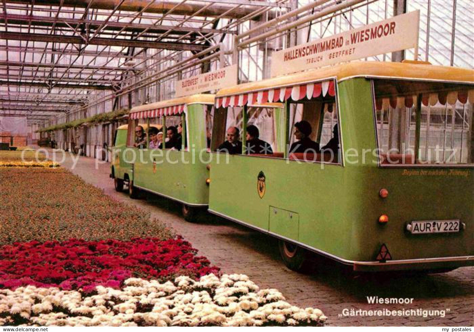 72697674 Wiesmoor Gaertnerei Besichtigung Touristenbus Wiesmoor - Wiesmoor