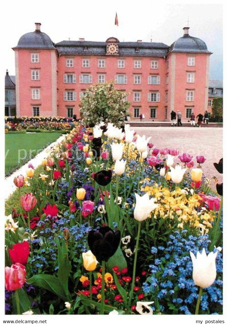 72694646 Schwetzingen Schloss Im Fruehlingsschmuck Schwetzingen - Schwetzingen