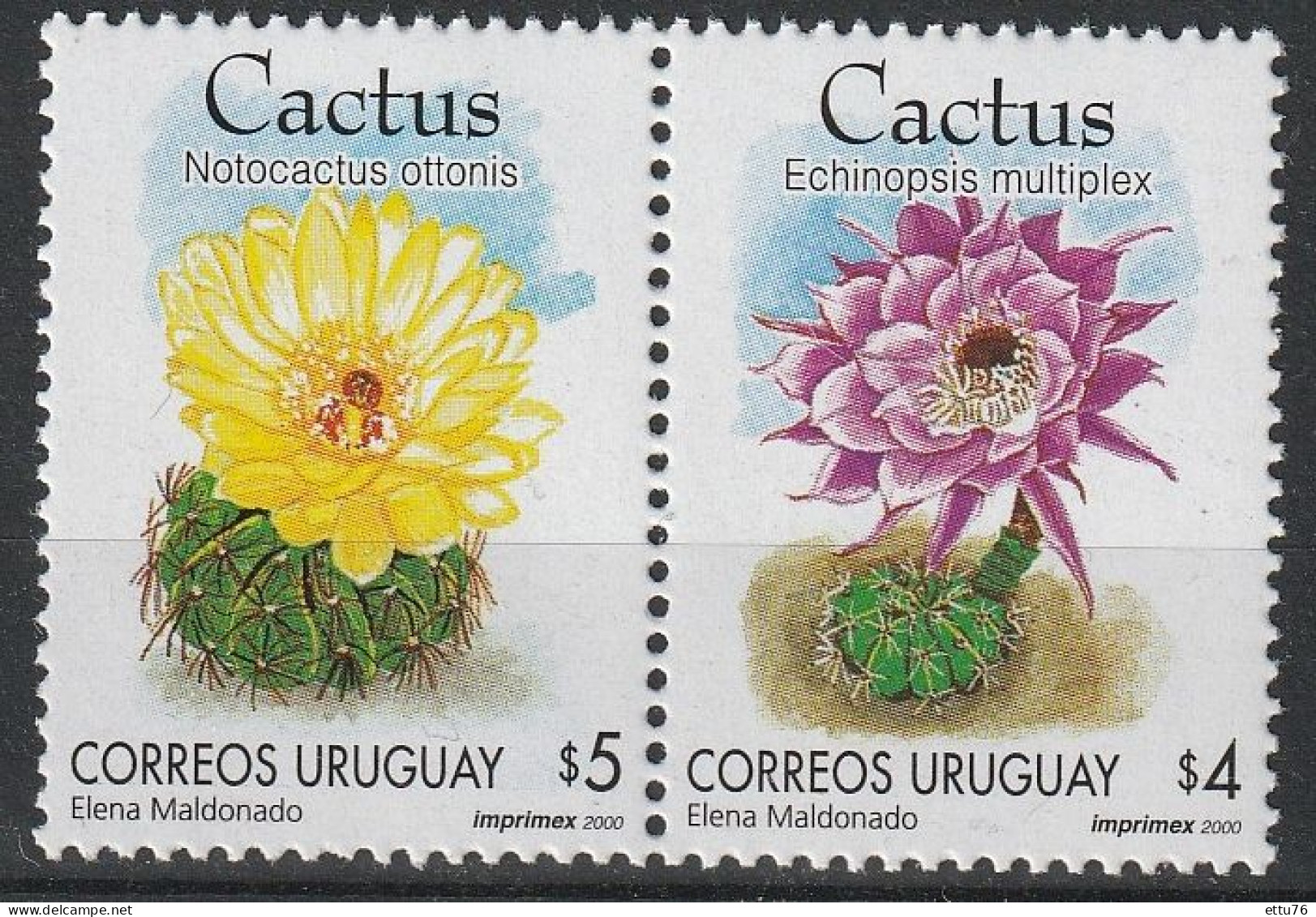 Uruguay  2000  Cacti,Flowers  MNH - Cactussen