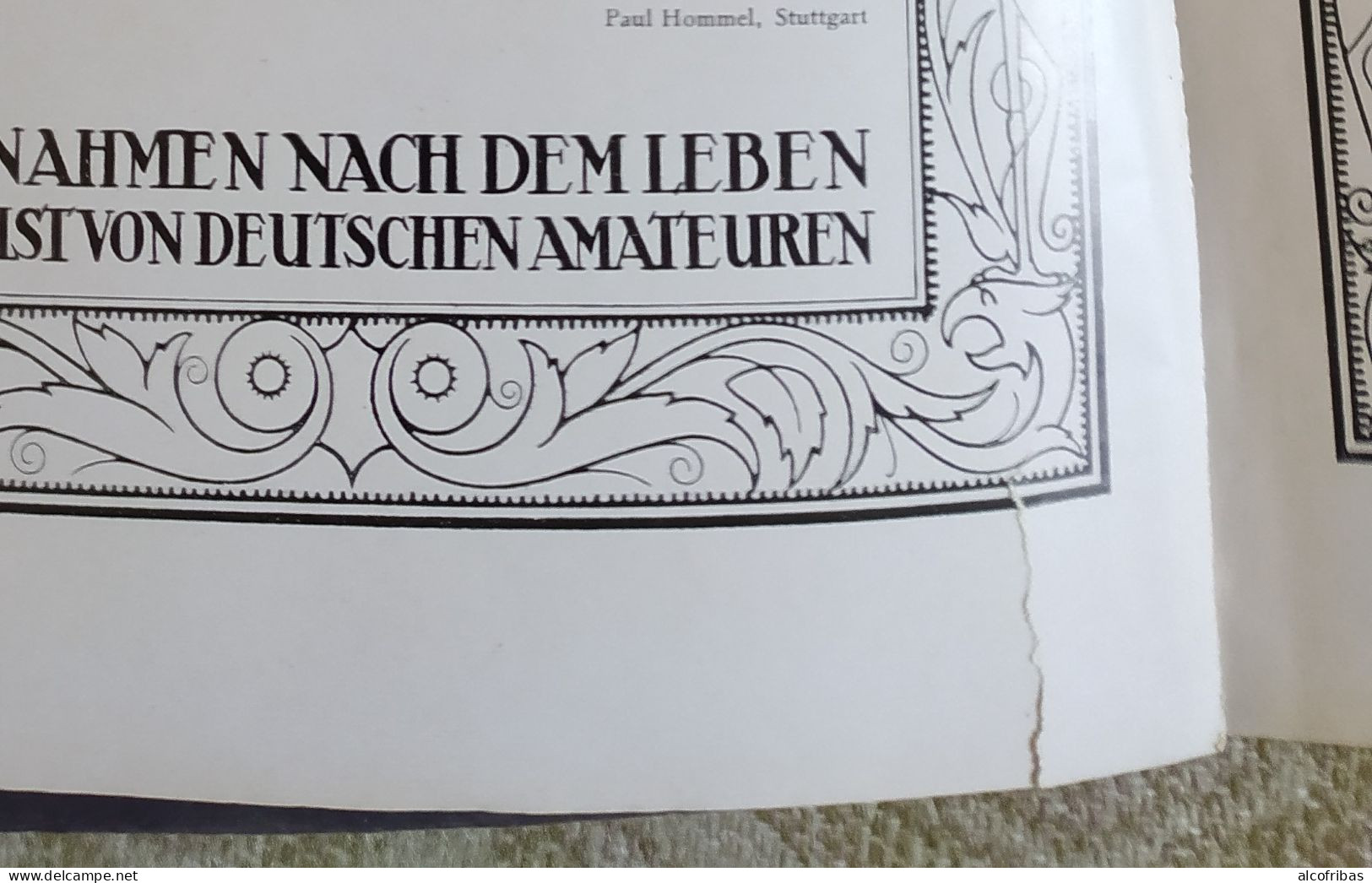 allemagne tiere in schonen Bildern karl robert Leipzig 129 pages animaux oiseaux