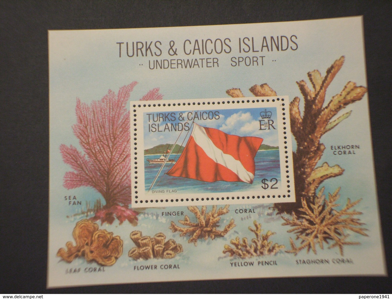 TURKS - BF 1981 MARE/CORALLI - NUOVO(++) - Turks And Caicos