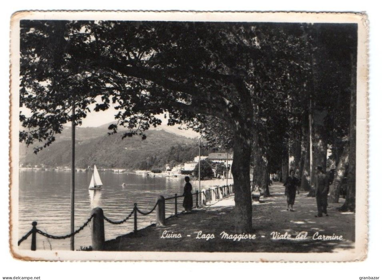 LUINO, IL VIALE DEL CARMINE, B/N, VIAGGIATA 1951      **//** - Luino