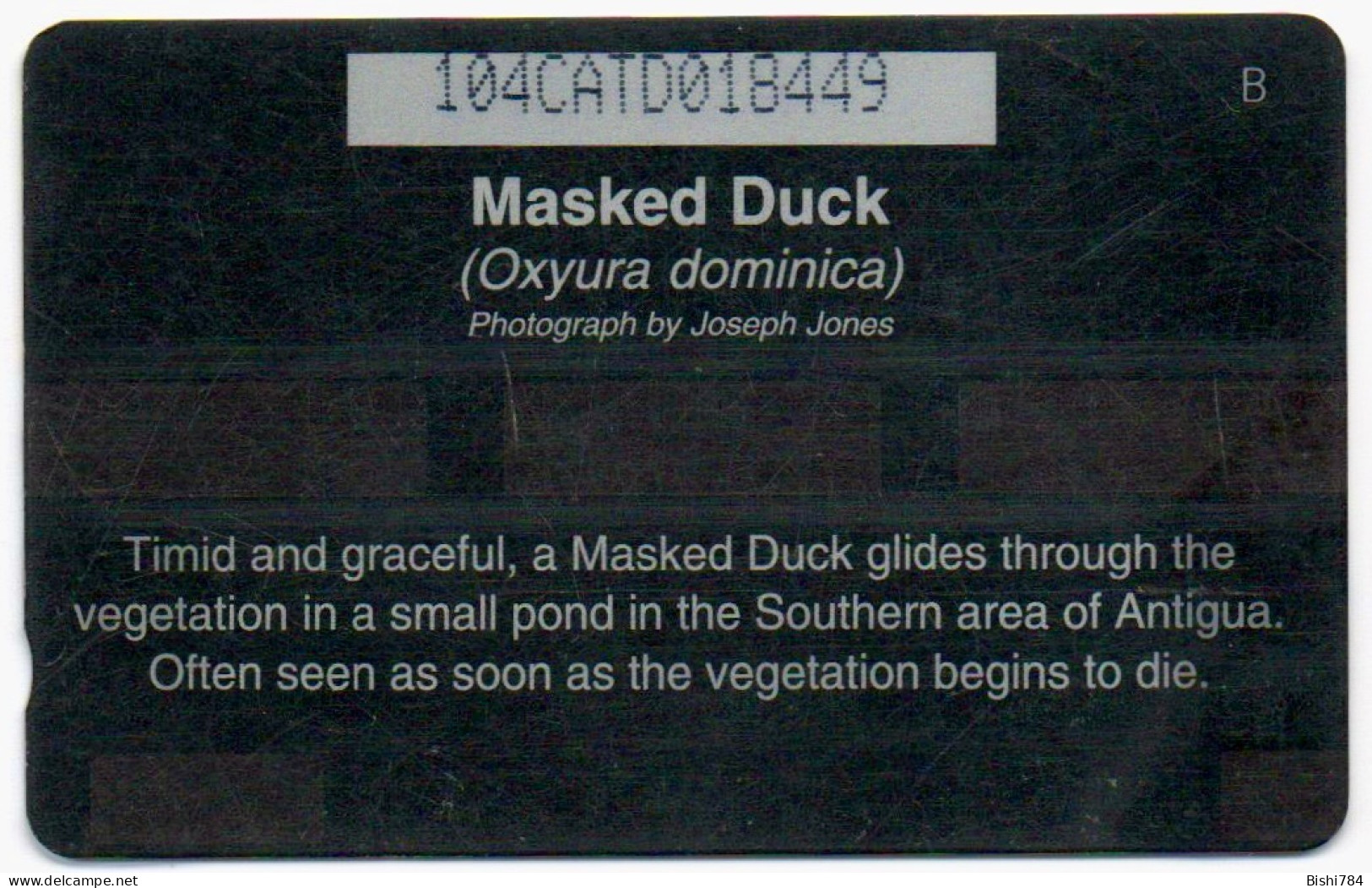 Antigua & Barbuda - Masked Duck - 104CATD (with Slashed Ø) - Antigua And Barbuda