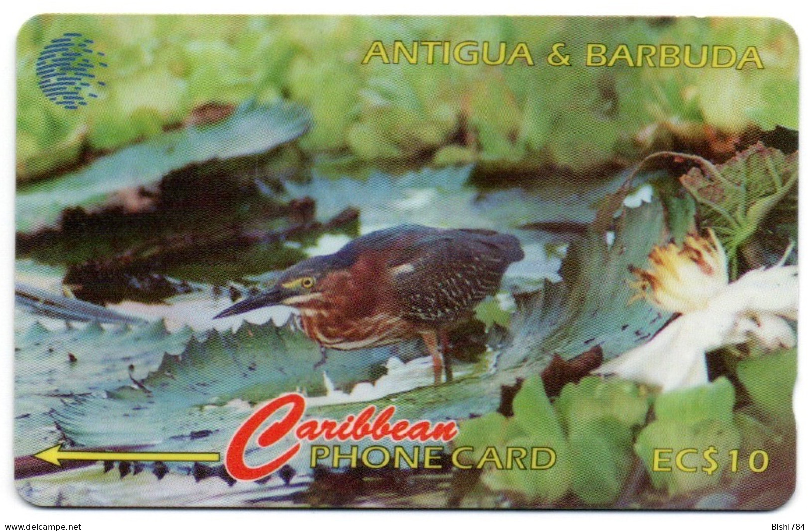 Antigua & Barbuda - Green Backed Heron - 104CATB (with Ø) - Antigua And Barbuda