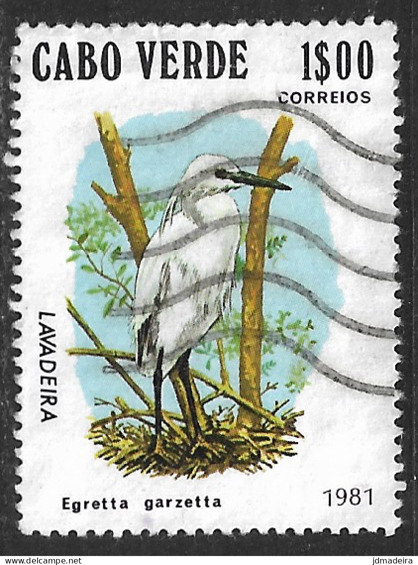 Cabo Verde – 1981 Birds 1$00 Used Stamp - Cape Verde