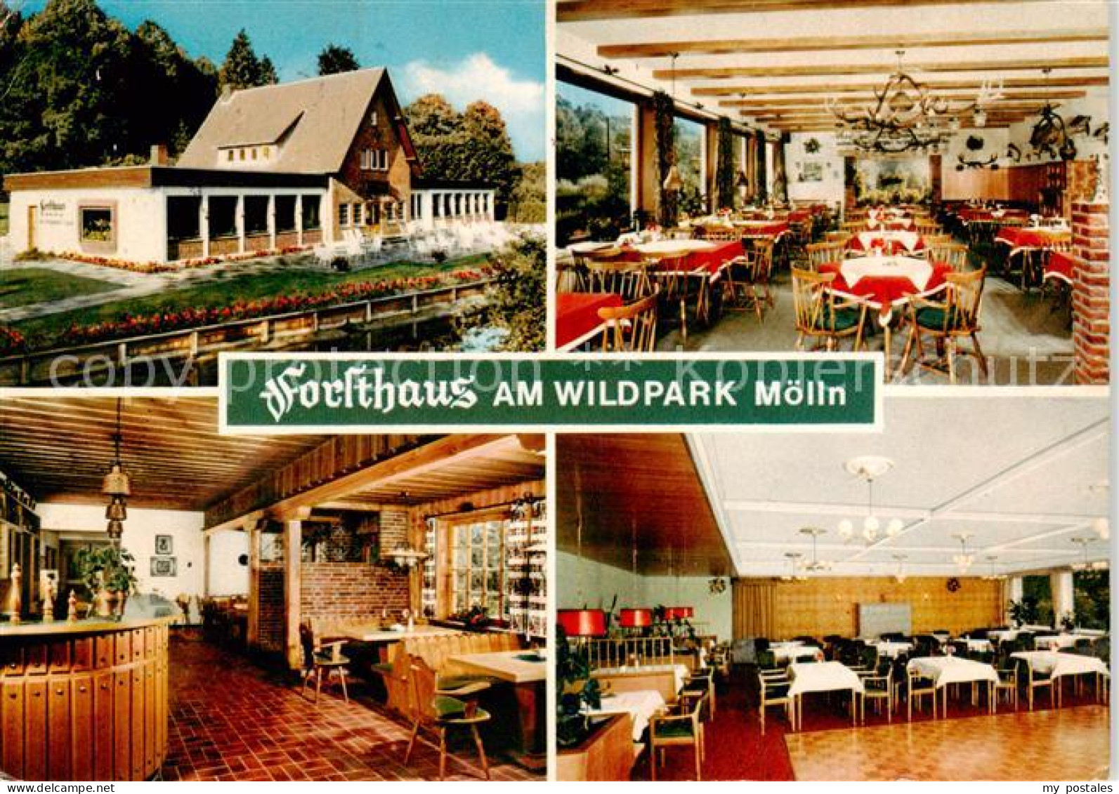 73845525 Moelln  Lauenburg Forsthaus Am Wildpark Gastraeume Theke  - Mölln