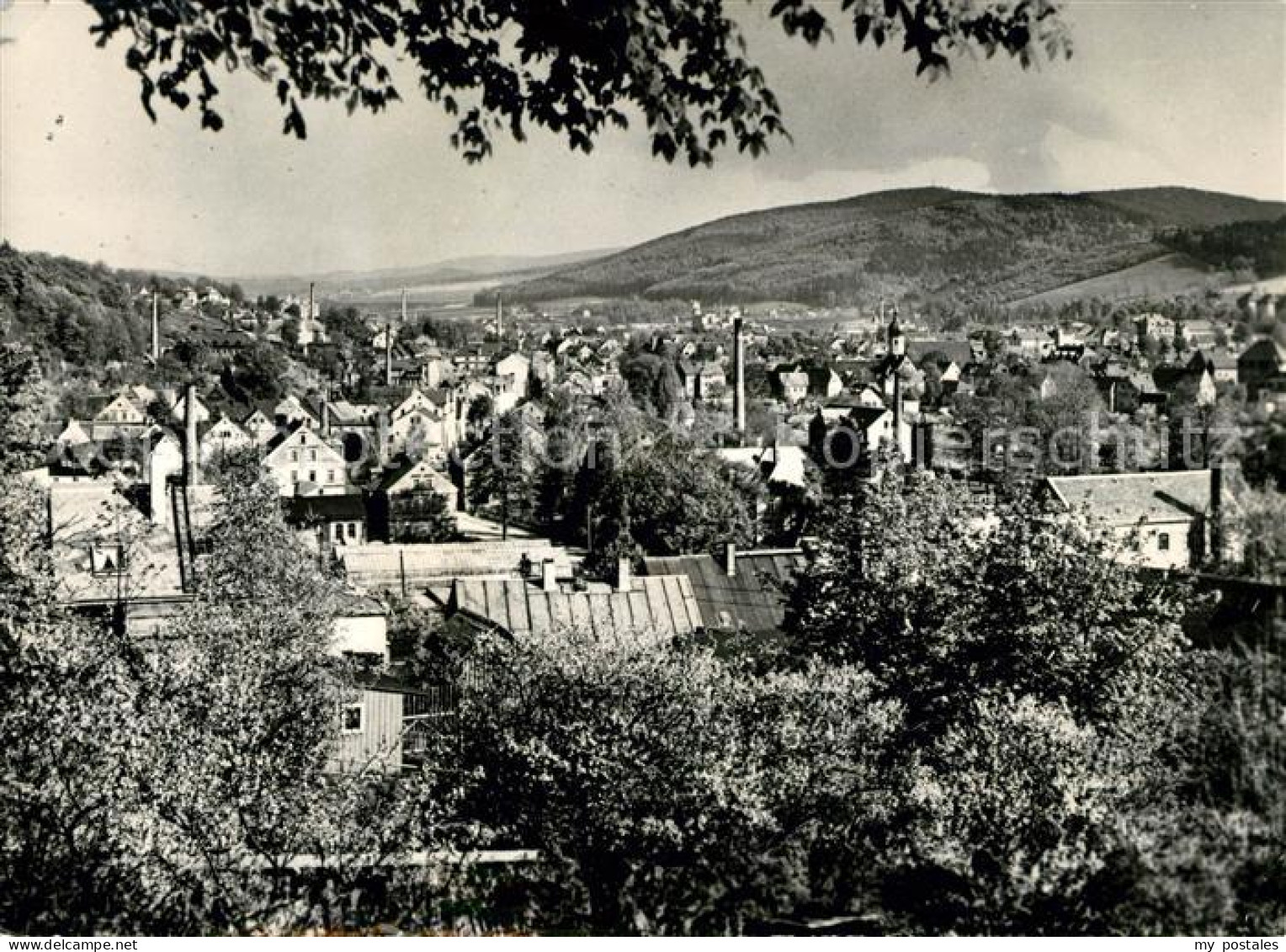 73028125 Olbernhau Erzgebirge Panorama Olbernhau Erzgebirge - Olbernhau