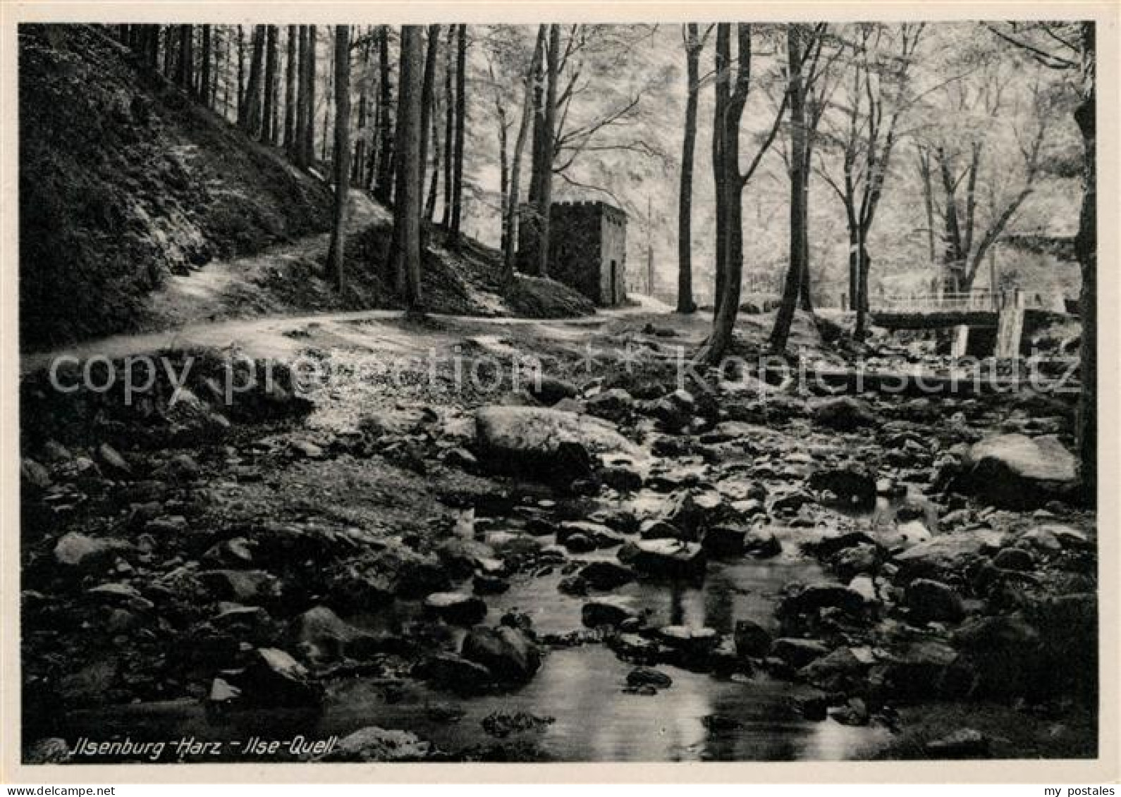 73027283 Ilsenburg Harz Ilse Quell Ilsenburg Harz - Ilsenburg