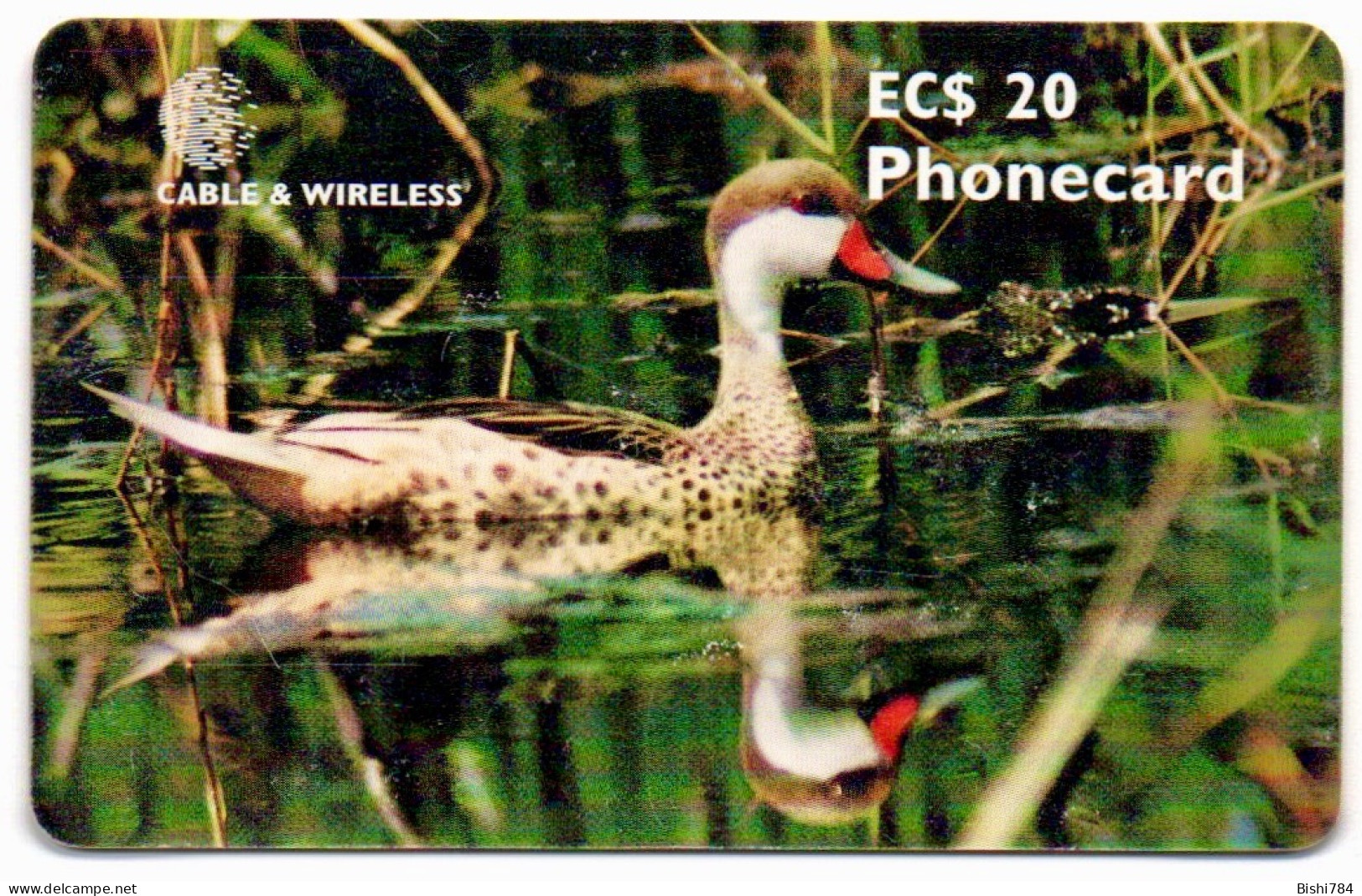 Antigua & Barbuda - The White Cheeked Pintail Duck (Black Chip) - Antigua U. Barbuda