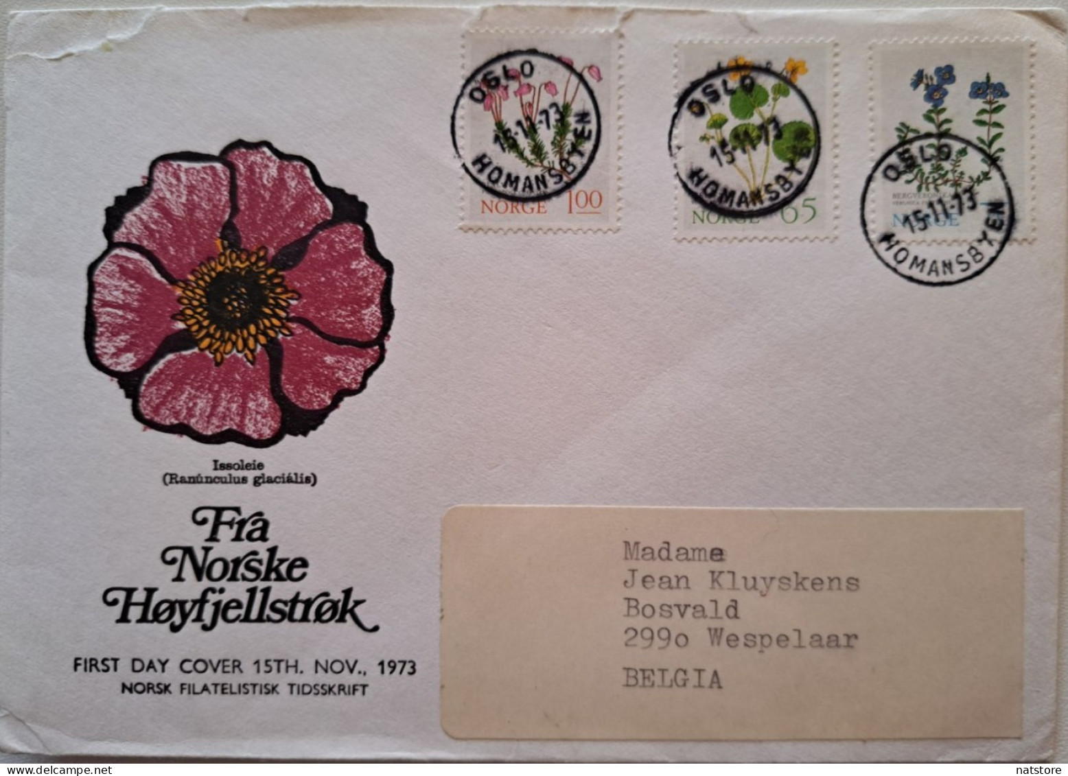 1973..NORWAY.. FDC WITH STAMPS AND POSTMARKS.. PAST MAIL..Mountain Flowers (full Serie) - FDC