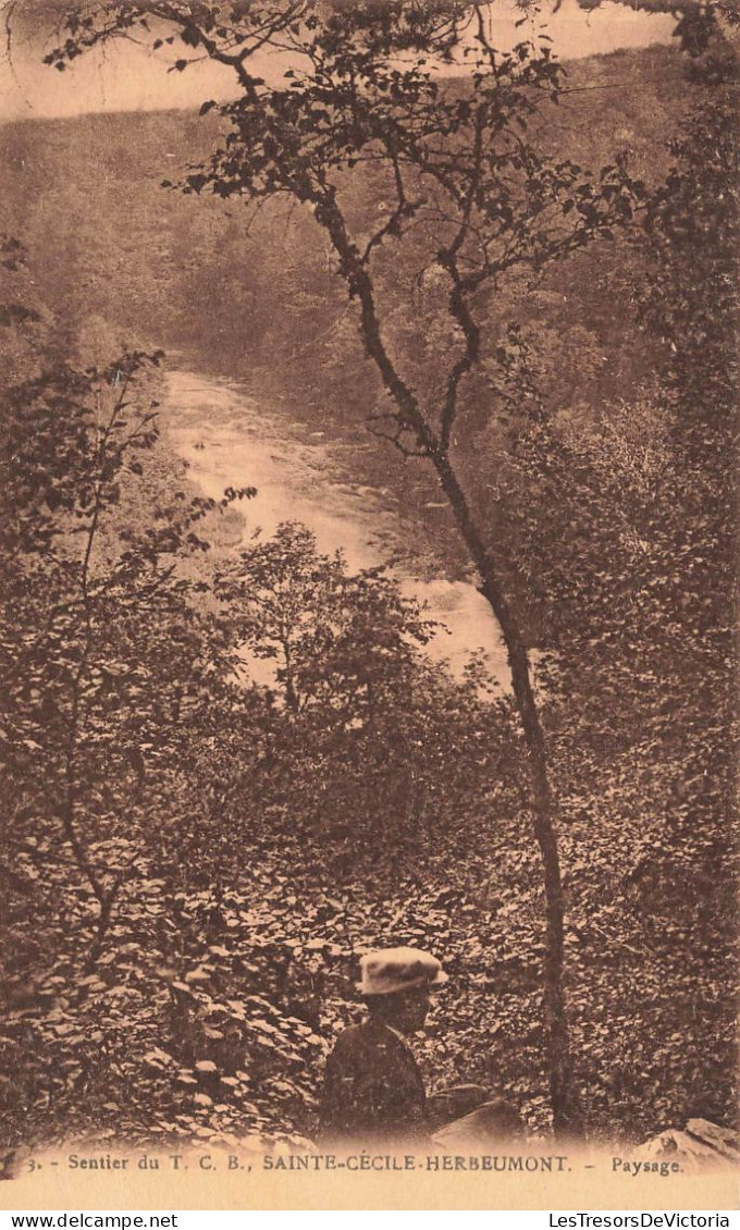 BELGIQUE - Sentier Du T CB - Sainte Cécile Herbeumont - Vue Générale Du Paysage  - Carte Postale Ancienne - Virton