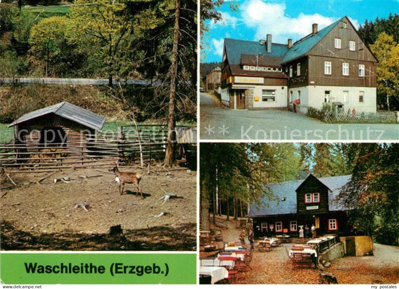 73025506 Waschleithe Tierpark Gaststaette Osterlamm Gaststaette Koehlerhuette  W - Gruenhain