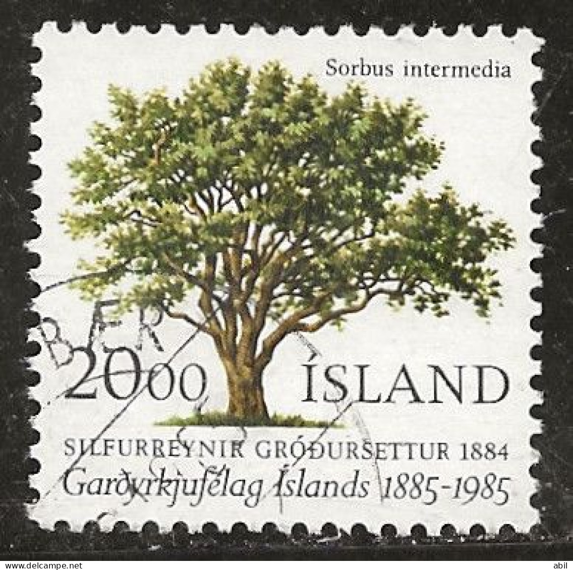 Islande 1985 N° Y&T : 588 Obl. - Used Stamps