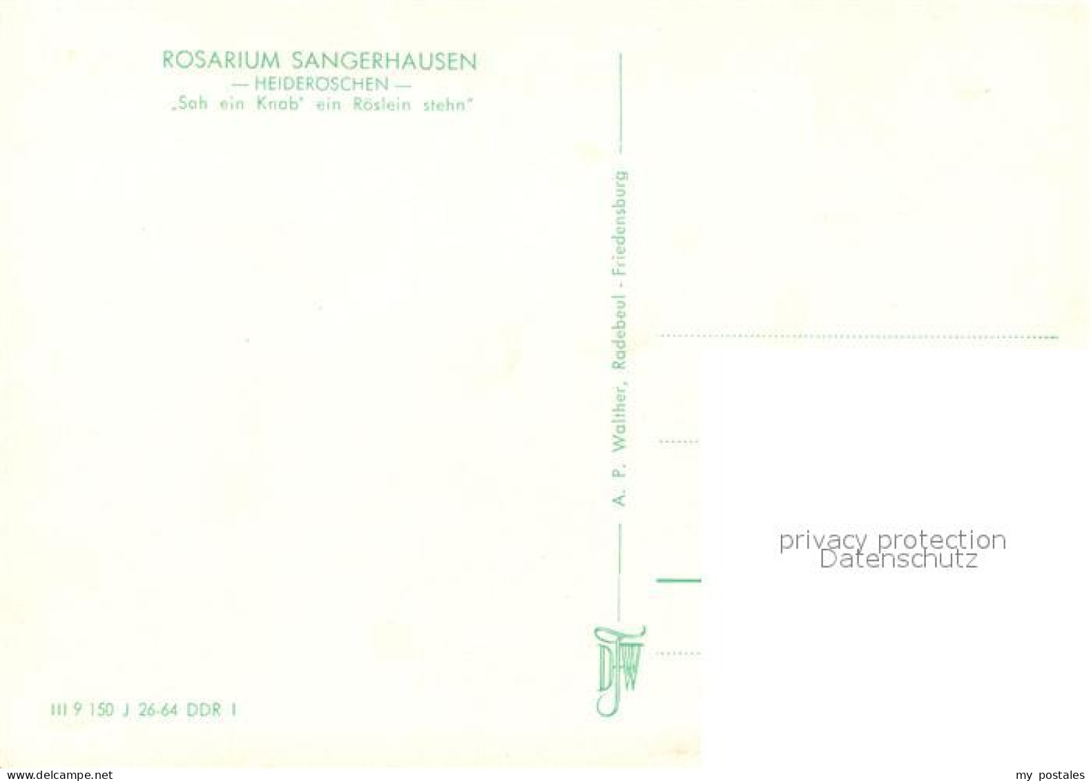 73017866 Sangerhausen Suedharz Rosarium Heideroeschen Sangerhausen Suedharz - Sangerhausen