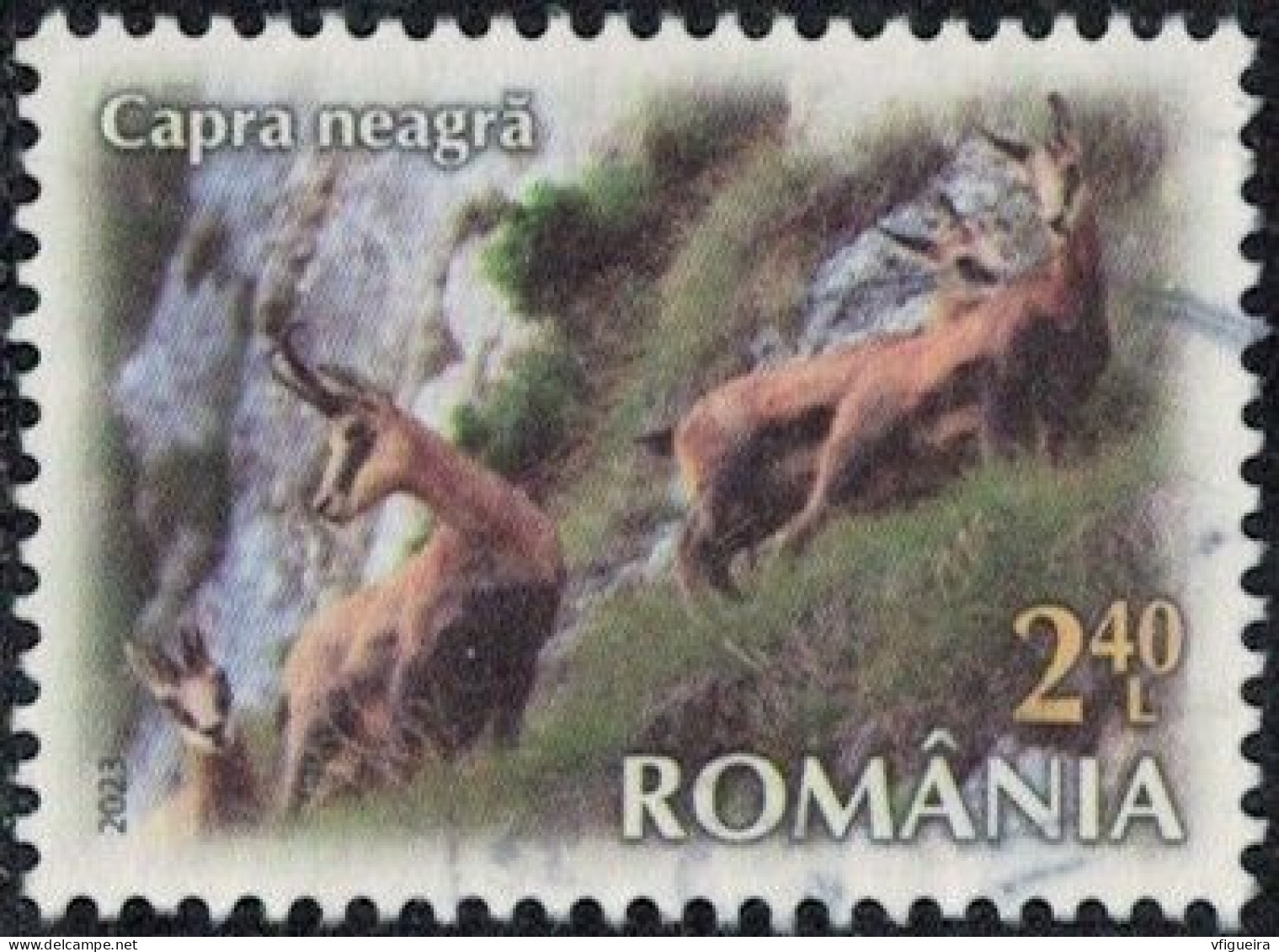 Roumanie 2023 Oblitéré Used Animal Rupicapra Rupicapra Chamois Y&T RO 7057 SU - Used Stamps