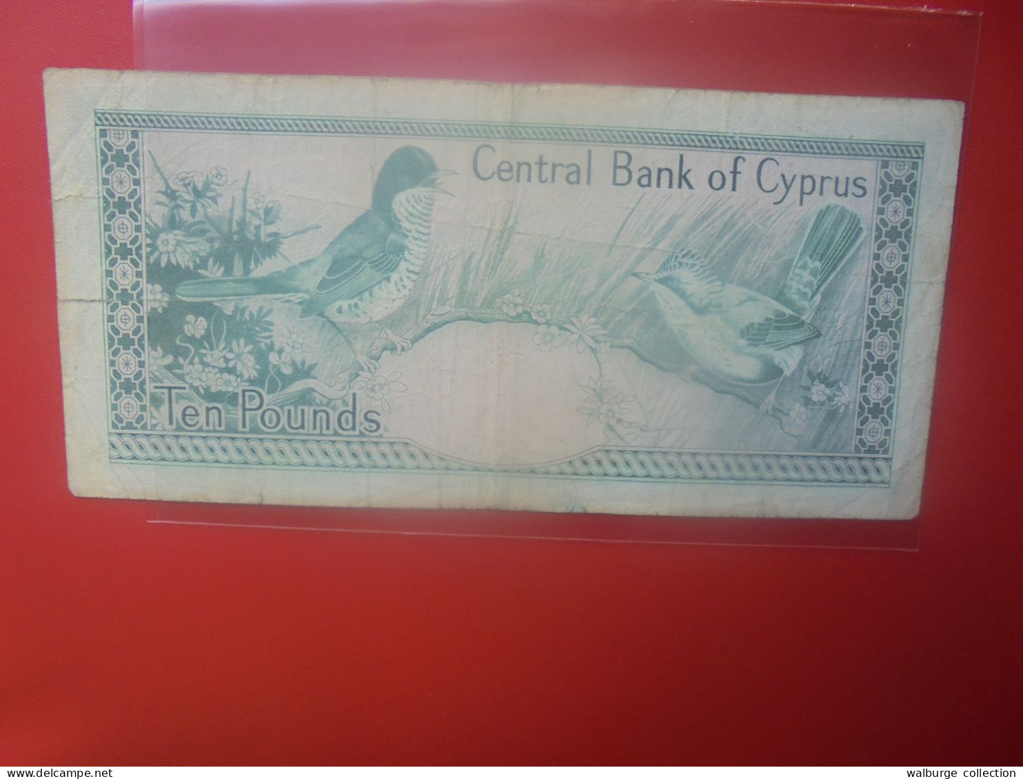 CHYPRE 10 POUNDS 1-6-1982 Circuler COTES:65-275$ (B.33) - Cipro