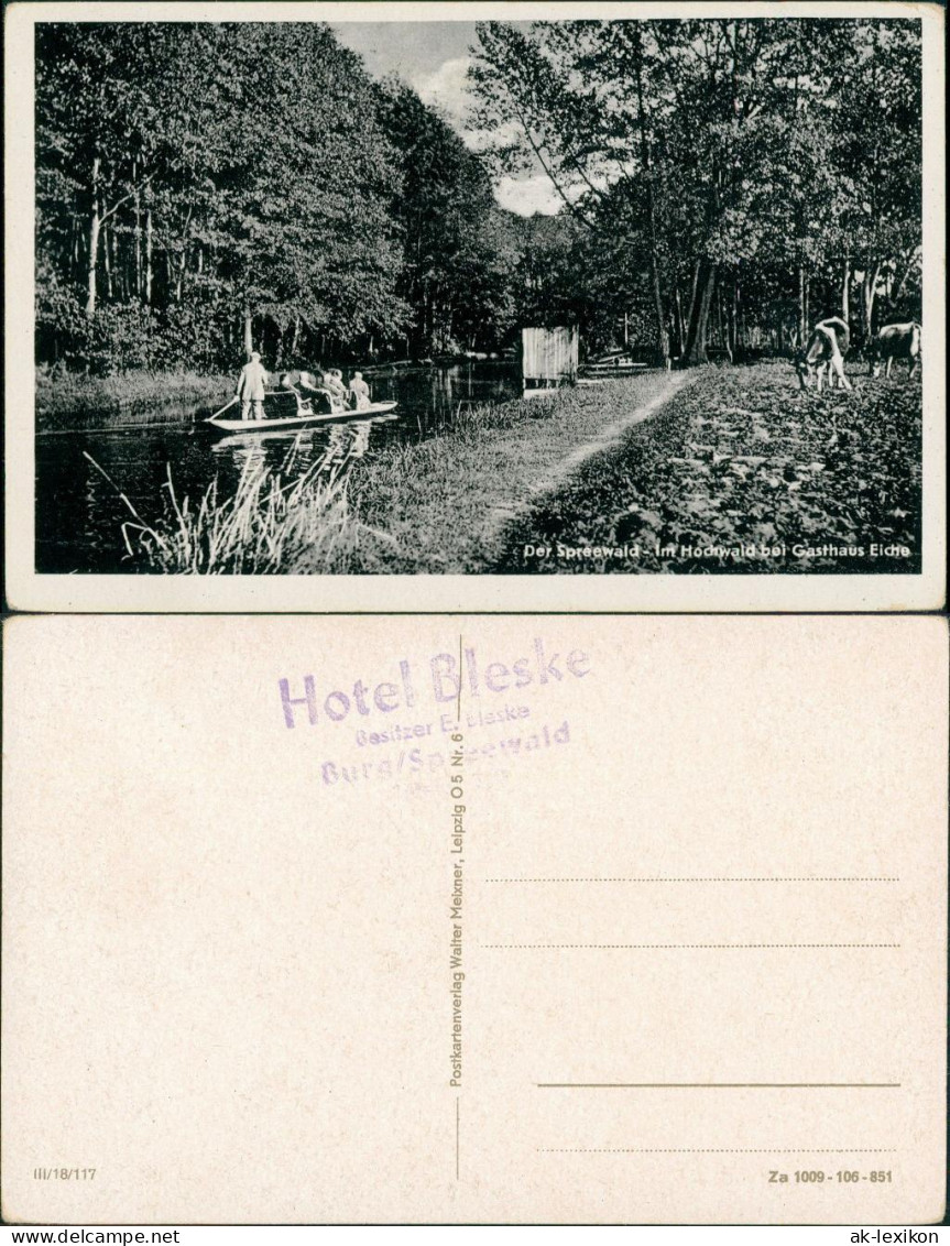 Ansichtskarte Burg (Spreewald) Borkowy (B&#322;ota) Gasthaus Eiche 1953 - Burg (Spreewald)
