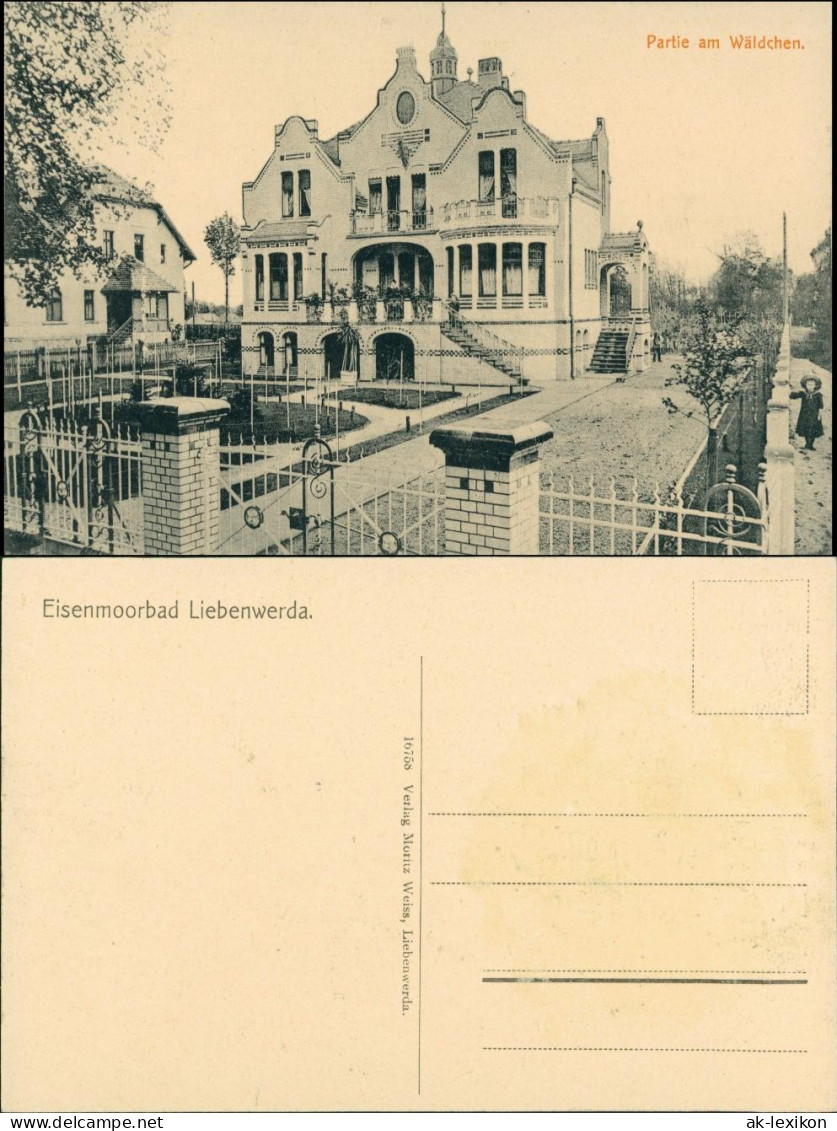 Ansichtskarte Bad Liebenwerda Villenpartioe - Garten, Wäldchen 1914 - Bad Liebenwerda