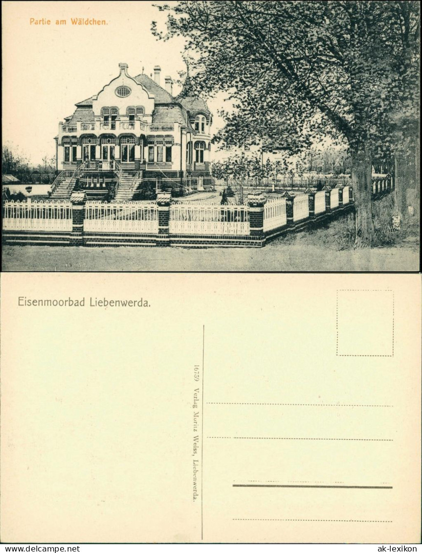 Ansichtskarte Bad Liebenwerda Villa Im Wäldchen 1913  - Bad Liebenwerda