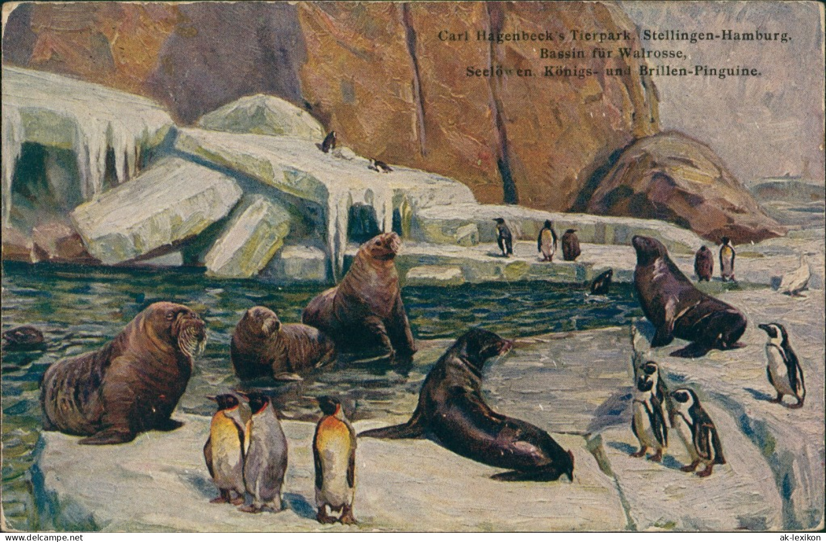 Stellingen-Hamburg Tierpark Hagenbeck, Stellingen, Pinguine & Seelöwen 1926 - Stellingen
