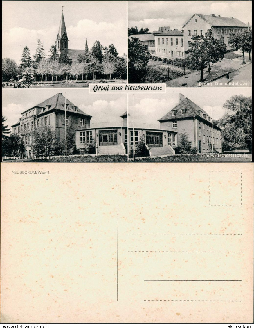 Neubeckum-Beckum 4 Foto-Ansichten, Kirche, Gemeindehaus,  Schule 1955 - Beckum