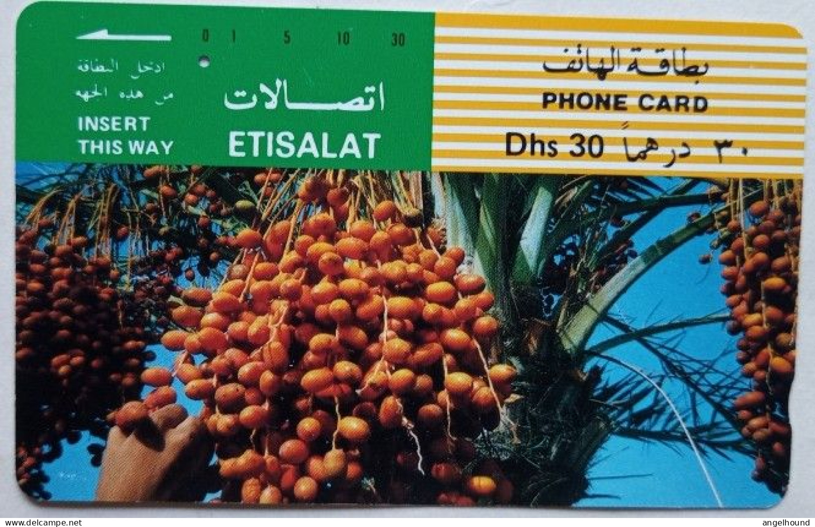 UAE Etisalat Dhs. 30 Tamura Card - Date Palm Clusters - United Arab Emirates