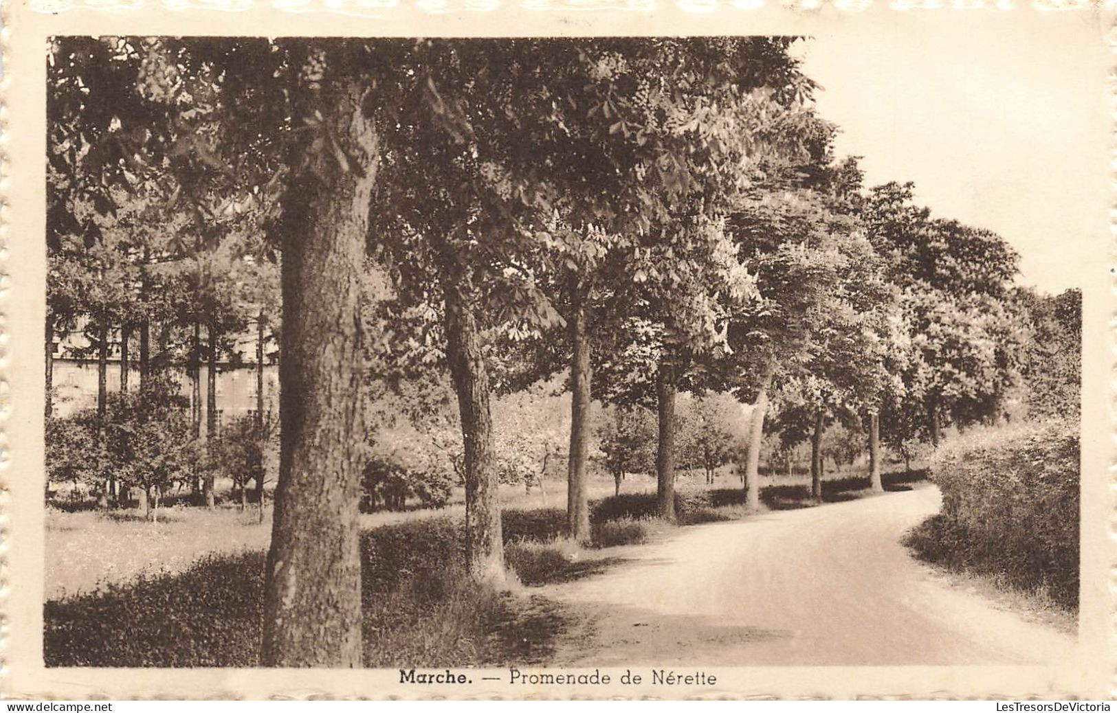 BELGIQUE - Marche - Promenade De Nérette - Carte Postale Ancienne - Marche-en-Famenne
