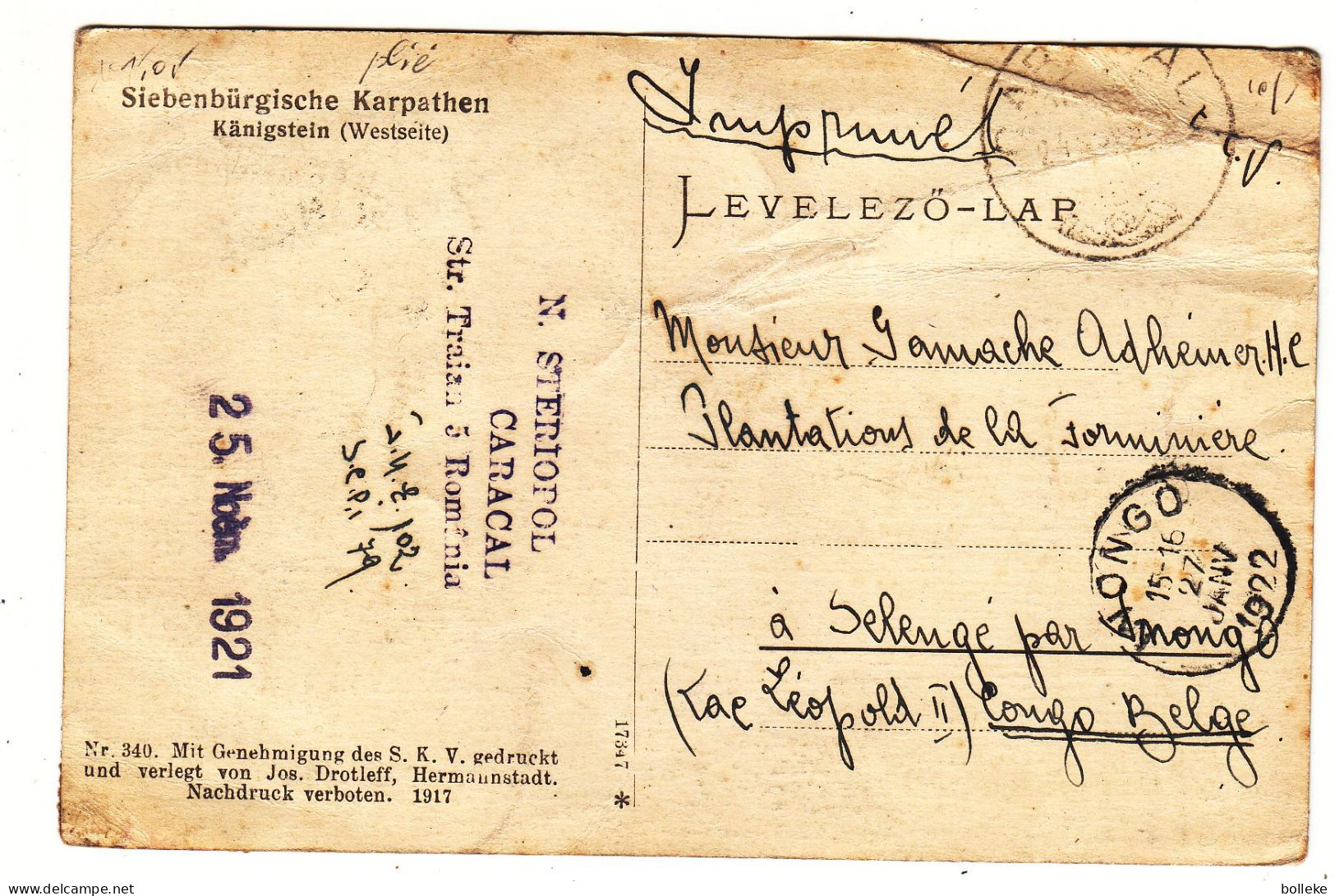 Roumanie - Carte Postale De 1921 - Oblit Caracal - Exp Vers Selenge - Cachet Du Congo - Vue Karpathes - - Lettres & Documents