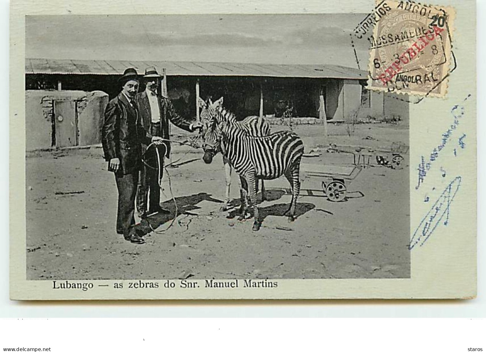 LUBANGO - As Zebras Do Snr. Manuel Martins - Angola
