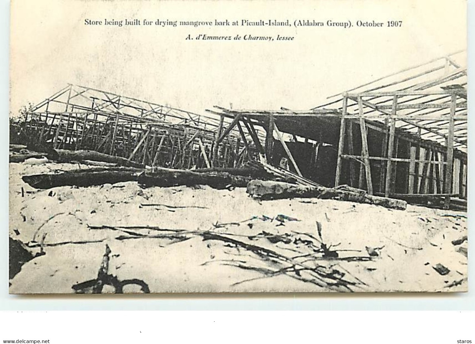 SEYCHELLES - Store Being Built For Drying Mangrove Bark At Picault-Island (Aldabra Group) October 1907 - Seychelles