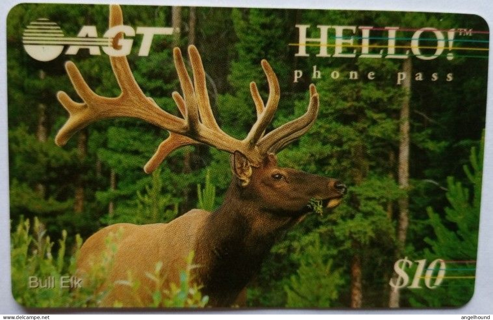 Canada Hello Phone Pass $10 Prepaid ( No Pin ) - Bull Elk - Kanada