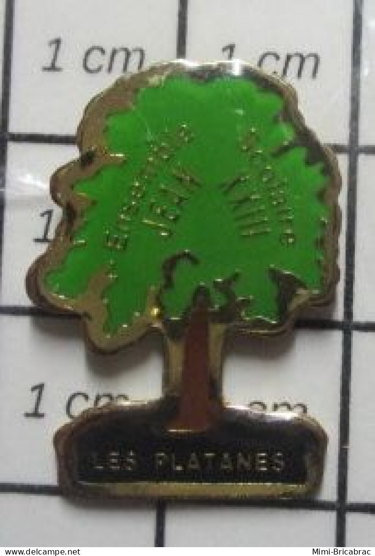 3319 Pin's Pins / Beau Et Rare / ADMINISTRATIONS / ENSEMBLE SCOLAIRE JEAN XXIII LES PLATANES ARBRE VERT - Administrations