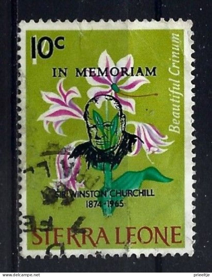 S. Leone 1965 Flowers  Y.T. 288 (0) - Sierra Leone (1961-...)